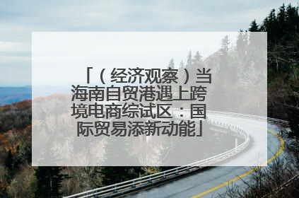 （经济观察）当海南自贸港遇上跨境电商综试区：国际贸易添新动能