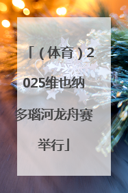 （体育）2025维也纳多瑙河龙舟赛举行
