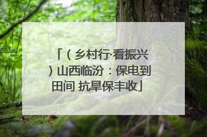 （乡村行·看振兴）山西临汾：保电到田间 抗旱保丰收