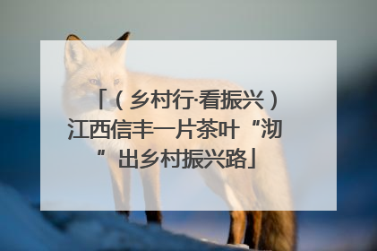 （乡村行·看振兴）江西信丰一片茶叶“沏”出乡村振兴路