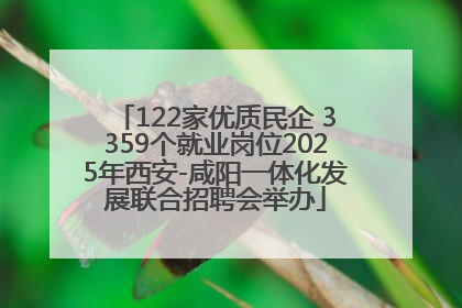 122家优质民企 3359个就业岗位2025年西安-咸阳一体化发展联合招聘会举办