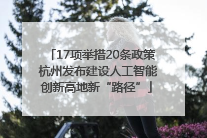 17项举措20条政策 杭州发布建设人工智能创新高地新“路径”