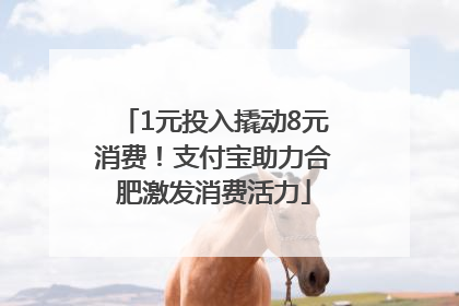 1元投入撬动8元消费！支付宝助力合肥激发消费活力