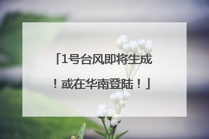 1号台风即将生成！或在华南登陆！