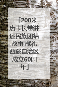 200米唐卡长卷讲述民族团结故事 献礼西藏自治区成立60周年