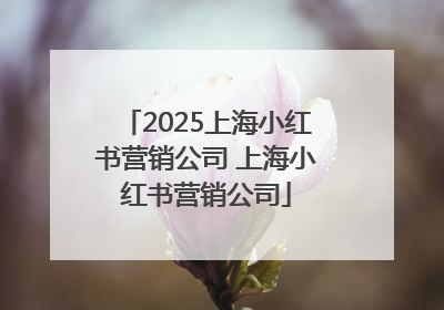 2025上海小红书营销公司 上海小红书营销公司