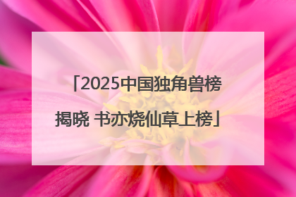 2025中国独角兽榜揭晓 书亦烧仙草上榜