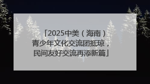 2025中美（海南）青少年文化交流团抵琼，民间友好交流再添新篇