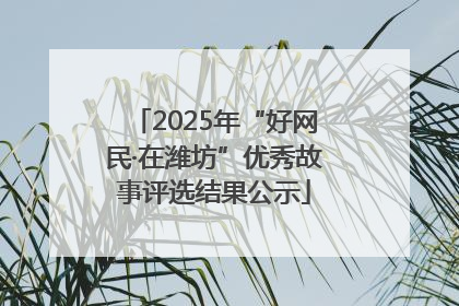 2025年“好网民·在潍坊”优秀故事评选结果公示