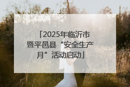 2025年临沂市暨平邑县“安全生产月”活动启动