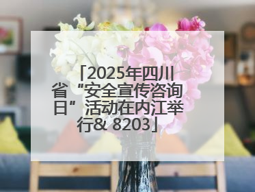 2025年四川省“安全宣传咨询日”活动在内江举行& 8203