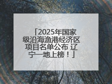 2025年国家级沿海渔港经济区项目名单公布 辽宁一地上榜！