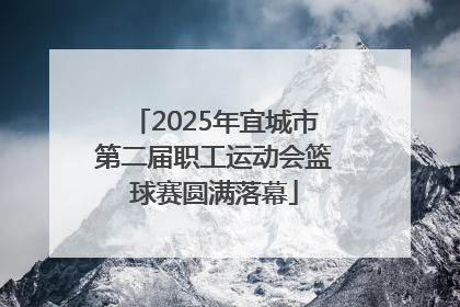2025年宜城市第二届职工运动会篮球赛圆满落幕