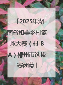 2025年湖南省和美乡村篮球大赛（村 BA）郴州市选拔赛闭幕
