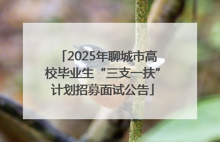 2025年聊城市高校毕业生“三支一扶”计划招募面试公告