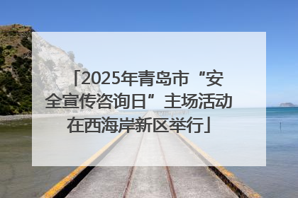 2025年青岛市“安全宣传咨询日”主场活动在西海岸新区举行