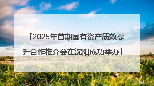 2025年首期国有资产质效提升合作推介会在沈阳成功举办