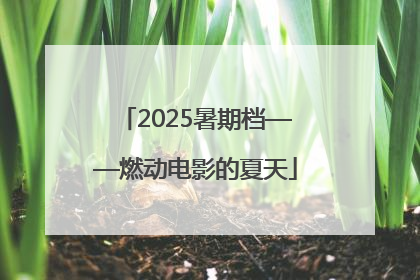 2025暑期档——燃动电影的夏天