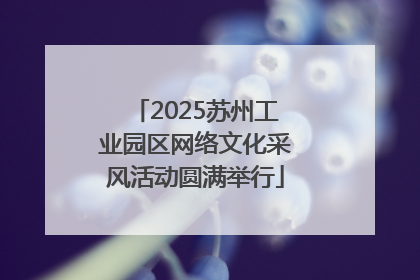 2025苏州工业园区网络文化采风活动圆满举行