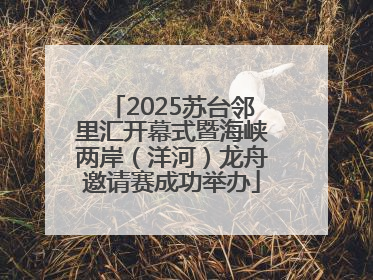 2025苏台邻里汇开幕式暨海峡两岸（洋河）龙舟邀请赛成功举办