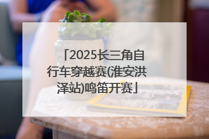 2025长三角自行车穿越赛(淮安洪泽站)鸣笛开赛