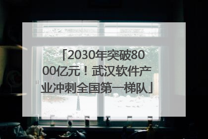 2030年突破8000亿元！武汉软件产业冲刺全国第一梯队