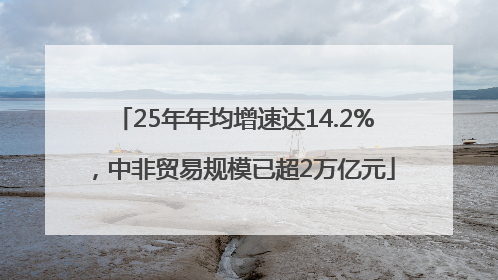 25年年均增速达14.2%，中非贸易规模已超2万亿元