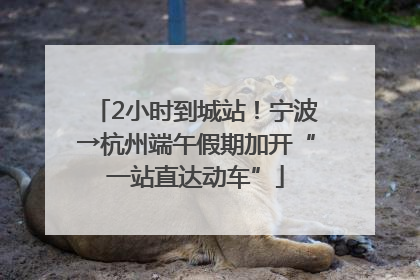 2小时到城站！宁波→杭州端午假期加开“一站直达动车”