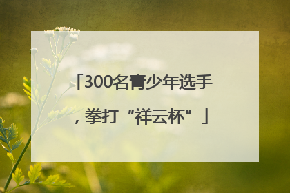 300名青少年选手，拳打“祥云杯”