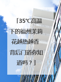 35℃高温下的福州茉莉花越热越香 背后门道你知道吗？