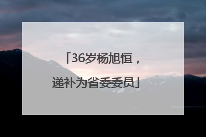 36岁杨旭恒，递补为省委委员