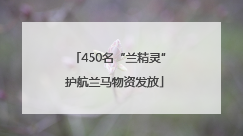 450名“兰精灵”护航兰马物资发放