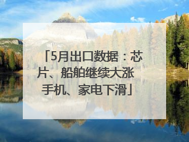 5月出口数据：芯片、船舶继续大涨 手机、家电下滑