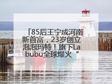 85后王宁成河南新首富，23岁创立泡泡玛特！旗下Labubu全球爆火“一娃难求”