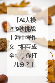 AI大模型9秒挑战上海中考作文“相互成全”，你打几分？