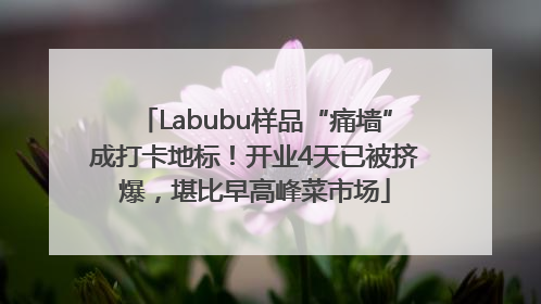 Labubu样品“痛墙”成打卡地标！开业4天已被挤爆，堪比早高峰菜市场